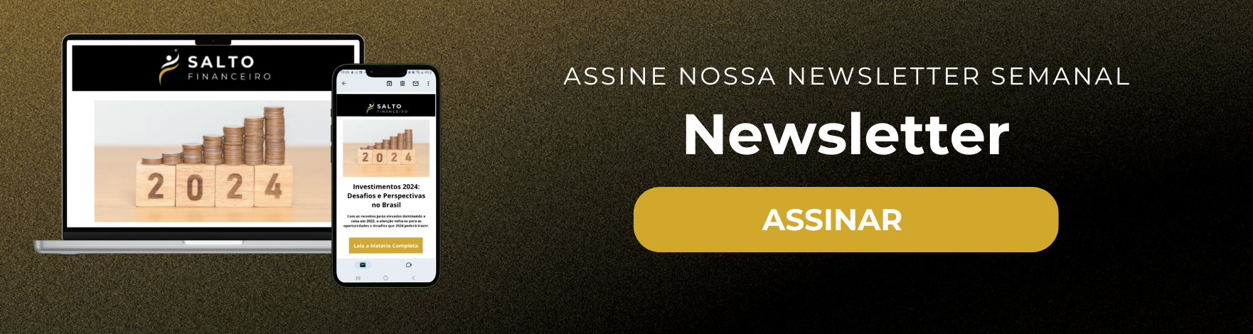 salto financeiro newsletter wide