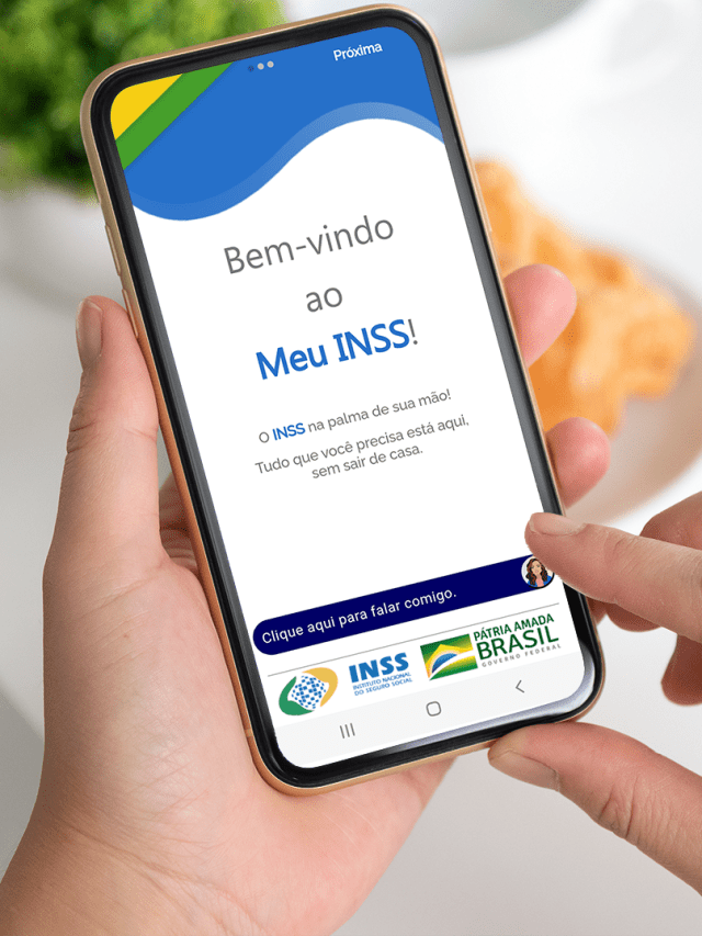 meu inss